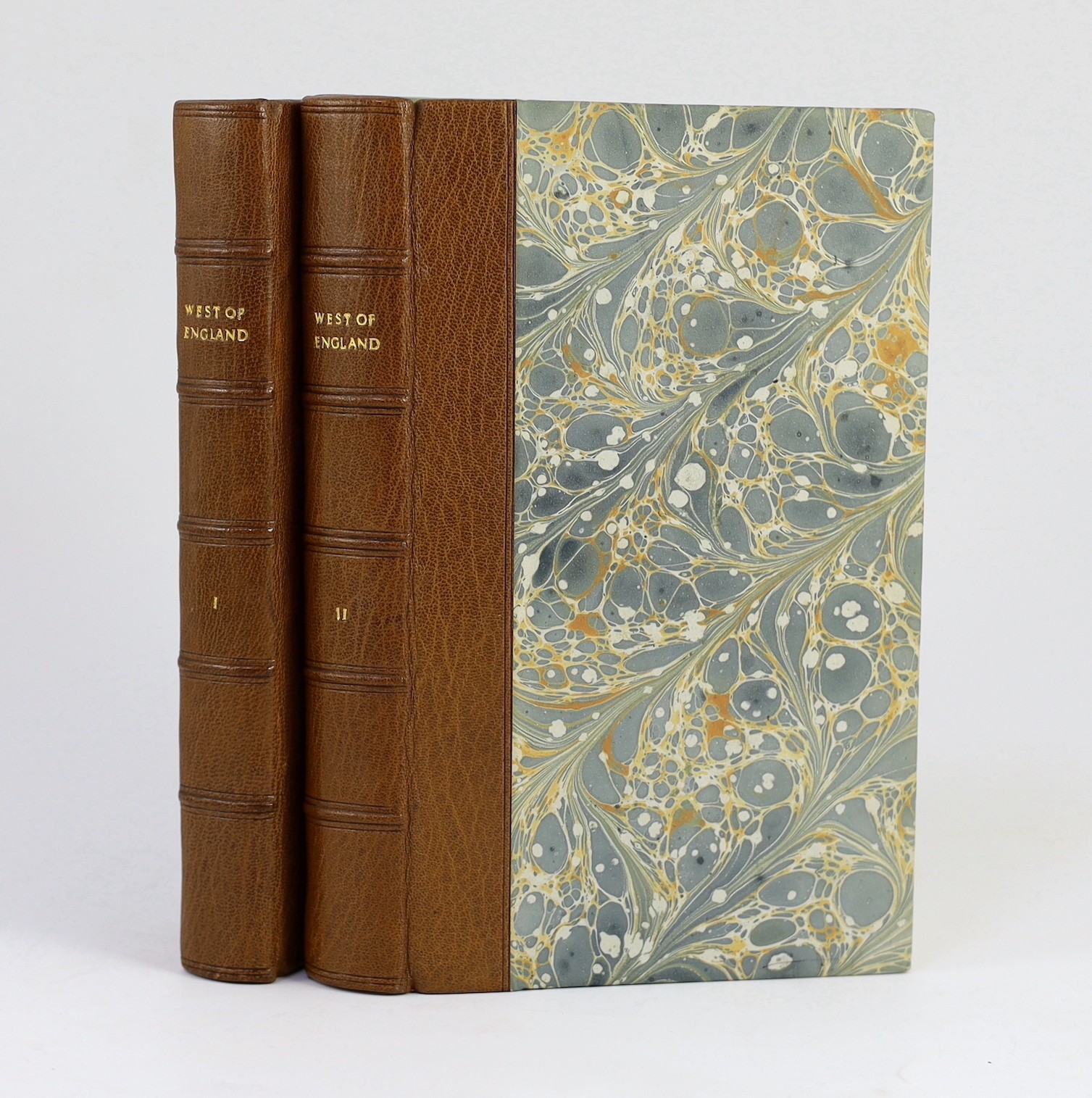 WEST OF ENGLAND - Marshall, William - The Rural Economy of the West of England, 2 vols, 8vo, rebound quarter morocco, with folding map (stained), London, 1796